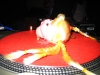Voodoo doll magic